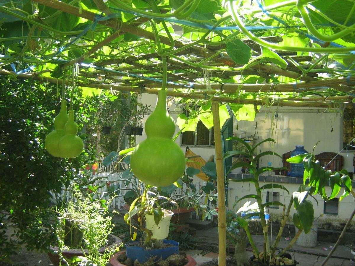 Villa Coco Happy Farm Ben Tre Esterno foto
