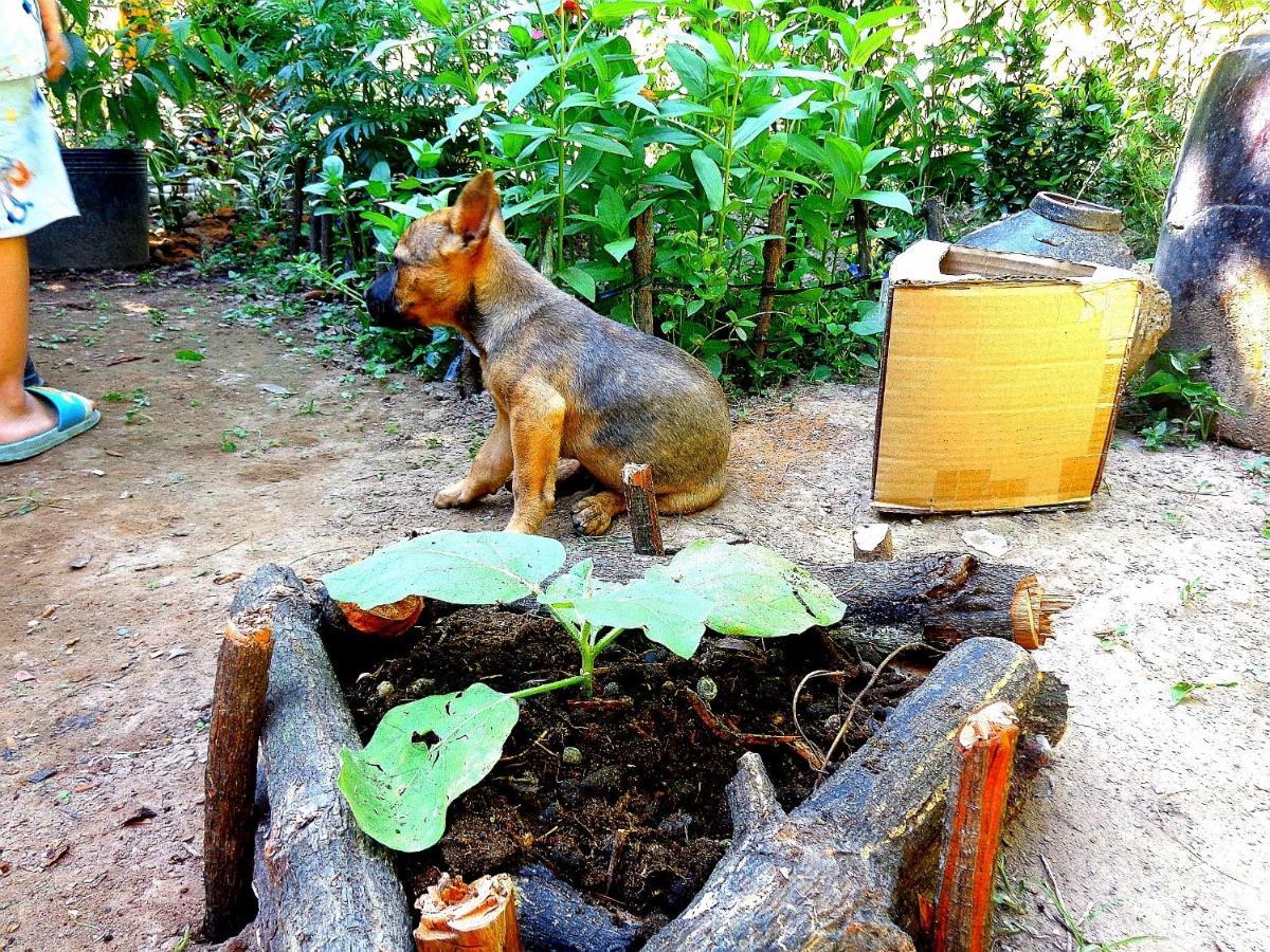 Villa Coco Happy Farm Ben Tre Esterno foto