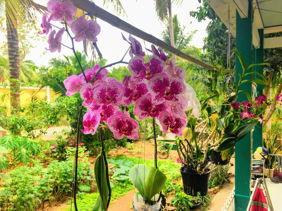 Villa Coco Happy Farm Ben Tre Esterno foto