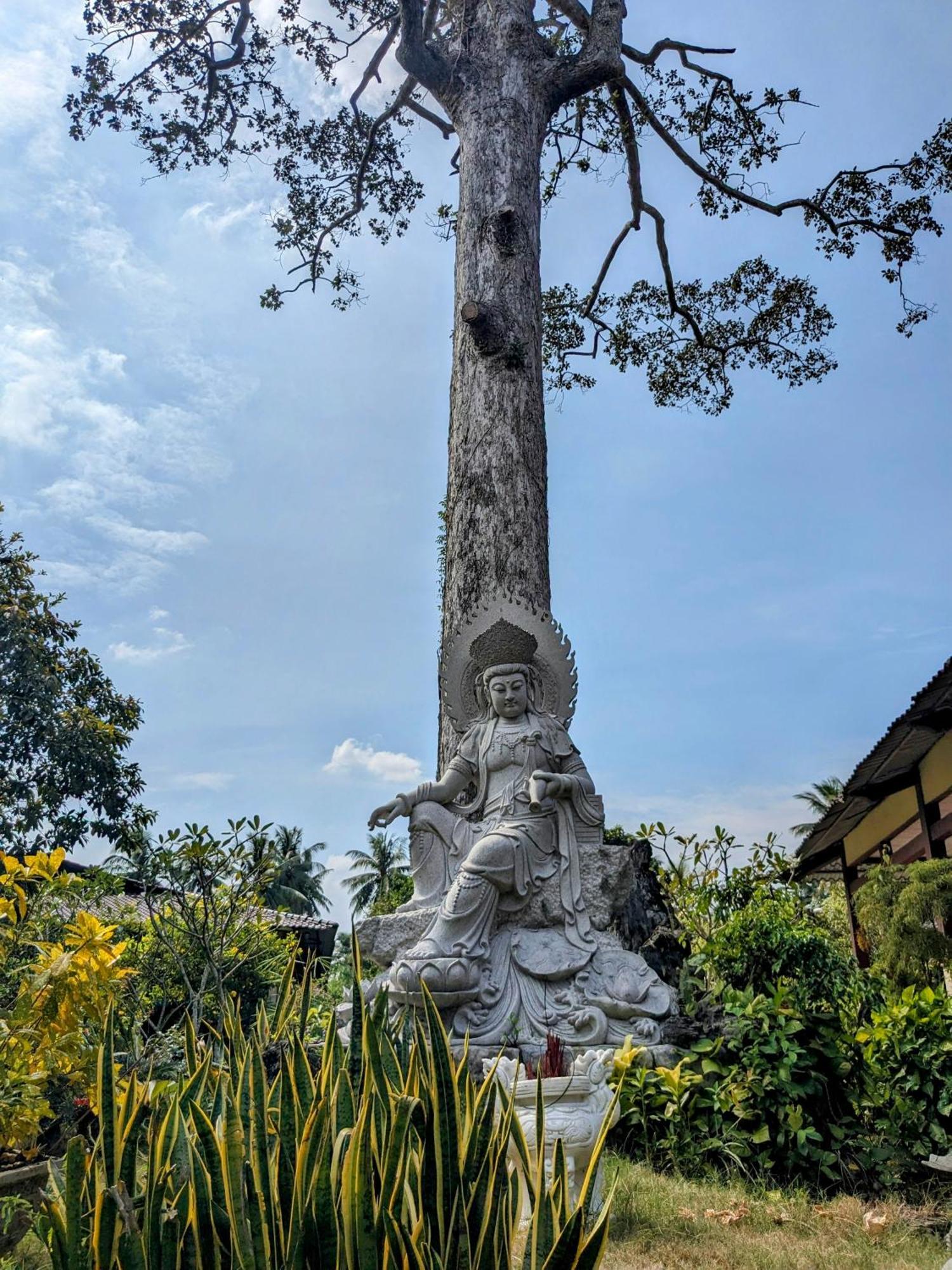 Villa Coco Happy Farm Ben Tre Esterno foto